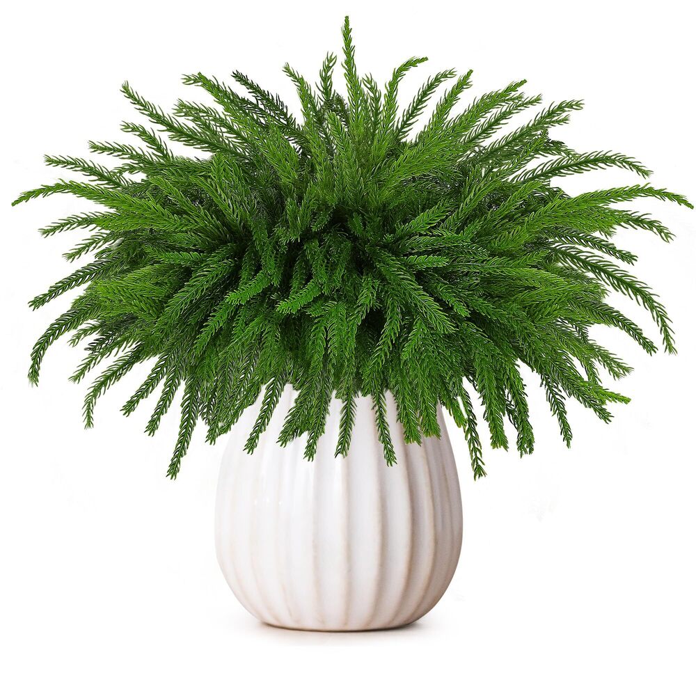 5377 12 Pieces Christmas Norfolk Pine Branch 18 Inch Stems Artificial